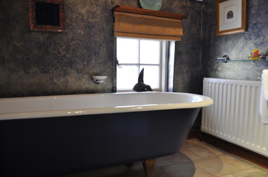 Old Ivy House Bed & Breakfast Nuneaton Room photo